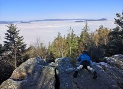 IMG_20241110_122712