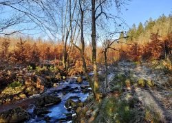 IMG_20241130_132616