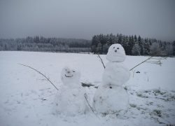 IMG_20250103_091416