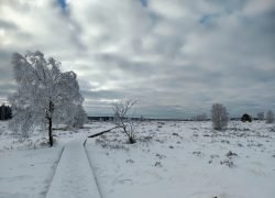 IMG_20250112_104517466_HDR_AE