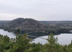 IMG_20250209_120845779_HDR_AE