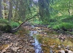 IMG_20260622_104915234_HDR_AE